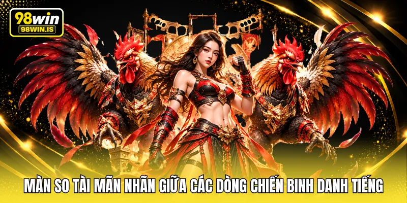 Màn so tài mãn nhãn giữa các dòng chiến binh danh tiếng
